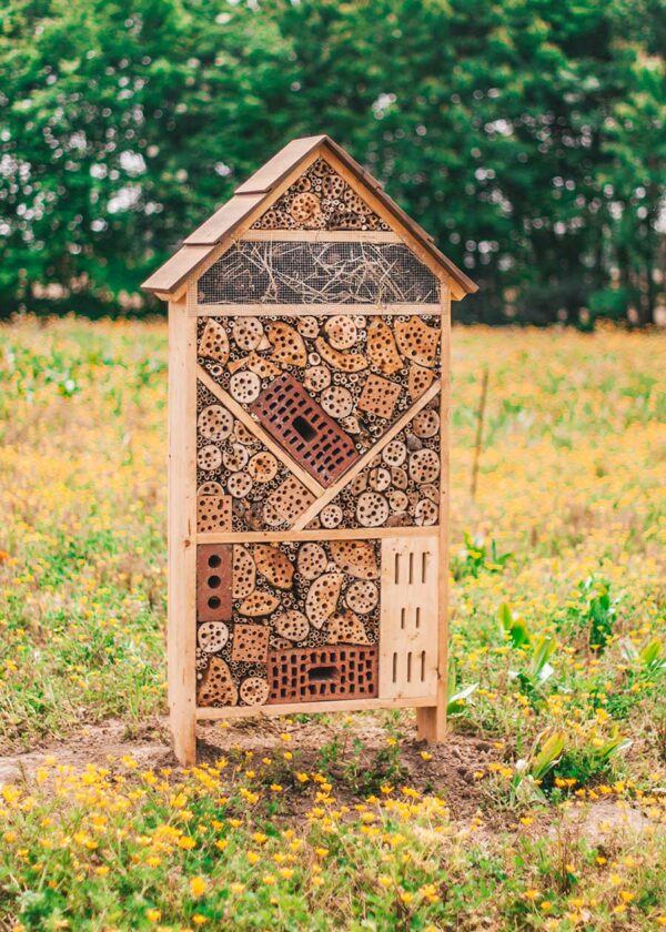 Insectenhotel bijenhotel, gemaakt uit lariks en bamboo. Deze nestkast is op maat gemaakt voor insecten in een bloemenweide.