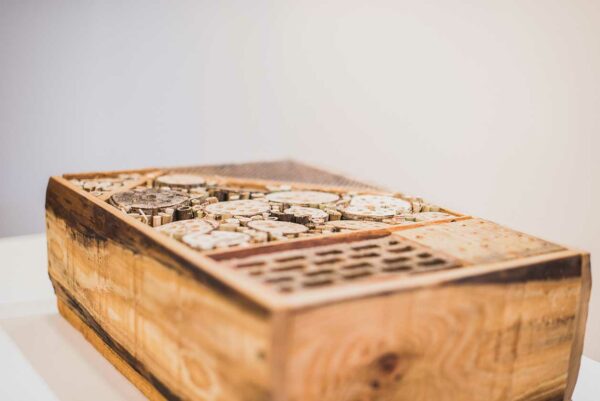 Insectenhotel bijenhotel, gemaakt uit lariks en bamboo. Deze nestkast is op maat gemaakt voor insecten in een bloemenweide.