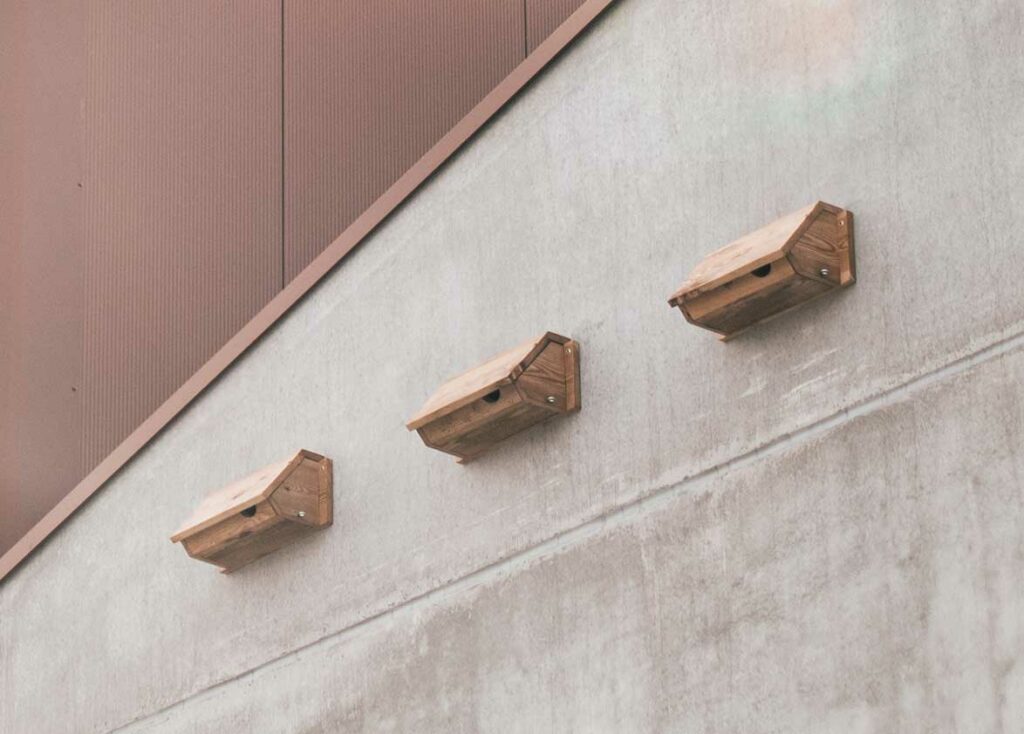 Gierzwaluw Nestkast Kunstnest Vogelhuis Ecovery be gierzwaluw-nestkast-kunstnest-vogelhuis-ecovery-be
