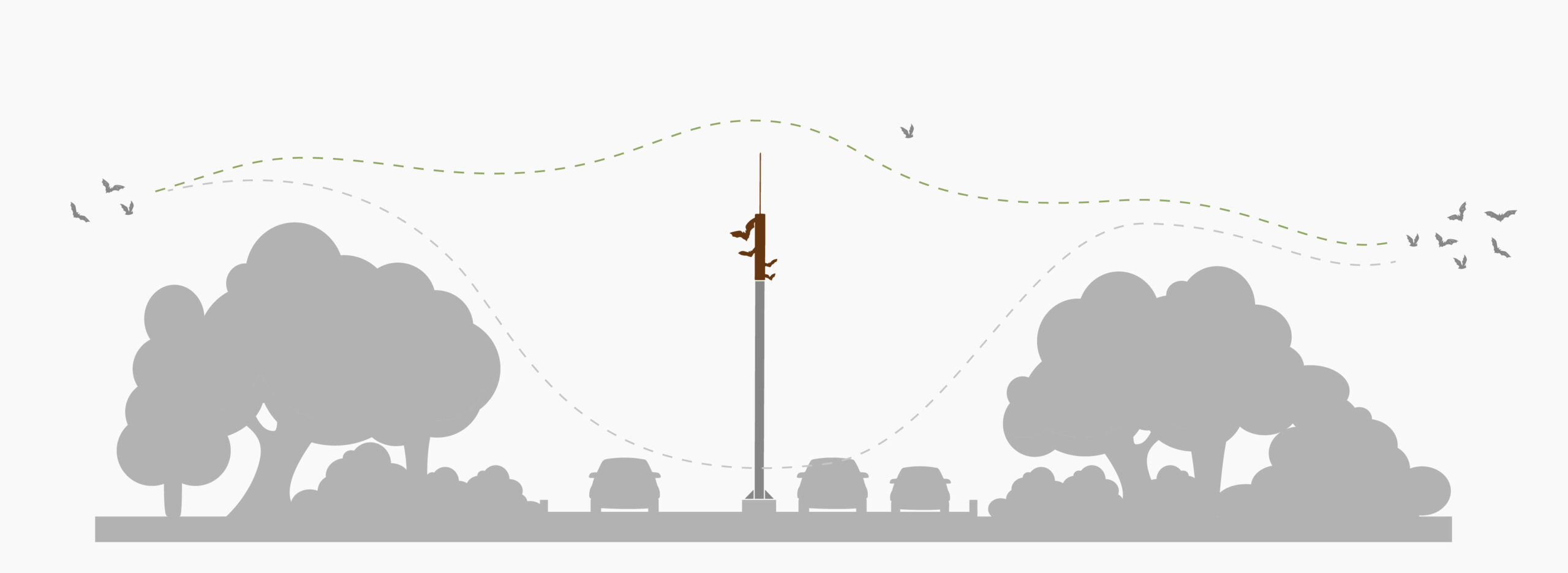 Vleermuispassage of vleermuizen hop over, ter bescherming van vleermuizen die op hun vleermuisroute niet vlak boven het wegdek vliegen. Illustratie van vleermuisroutes.