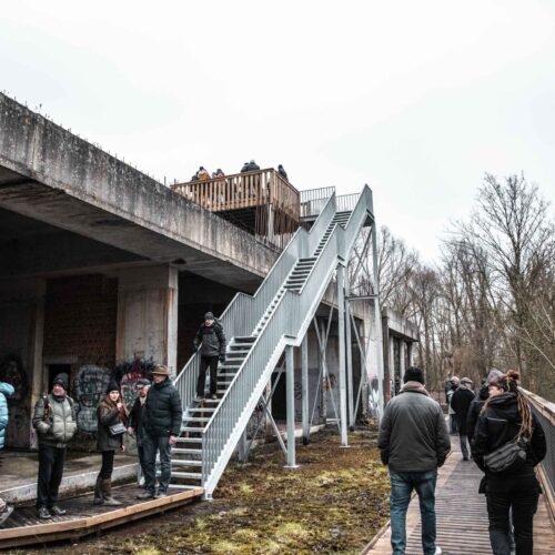 hotelruïne-vrijbroekpark-mechelen-toerisme-vlaanderen-visit-hotel-vleermuizen-natuur-loopbrug-spookhotel-swamp-hotel-06