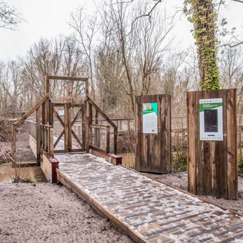 hotelruïne-vrijbroekpark-mechelen-toerisme-vlaanderen-visit-hotel-vleermuizen-natuur-loopbrug-spookhotel-swamp-hotel-09