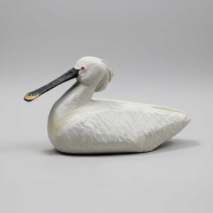 Lokvogel Lepelaar